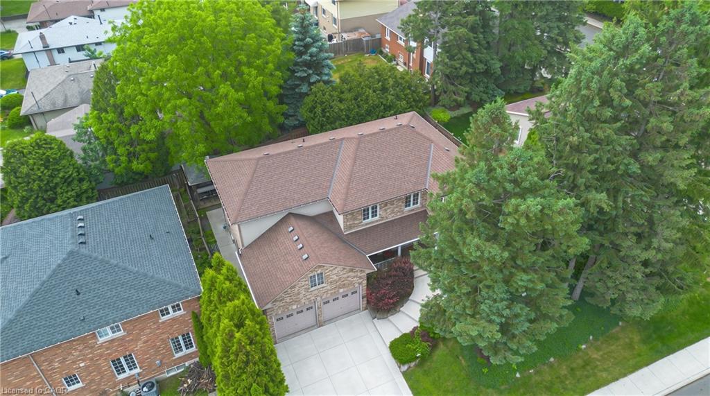 11 Maynard Street Property Photo 45