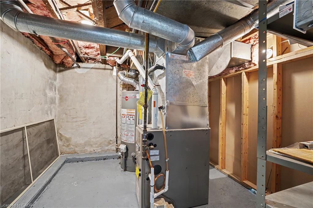 18 Elma Street Property Photo 24