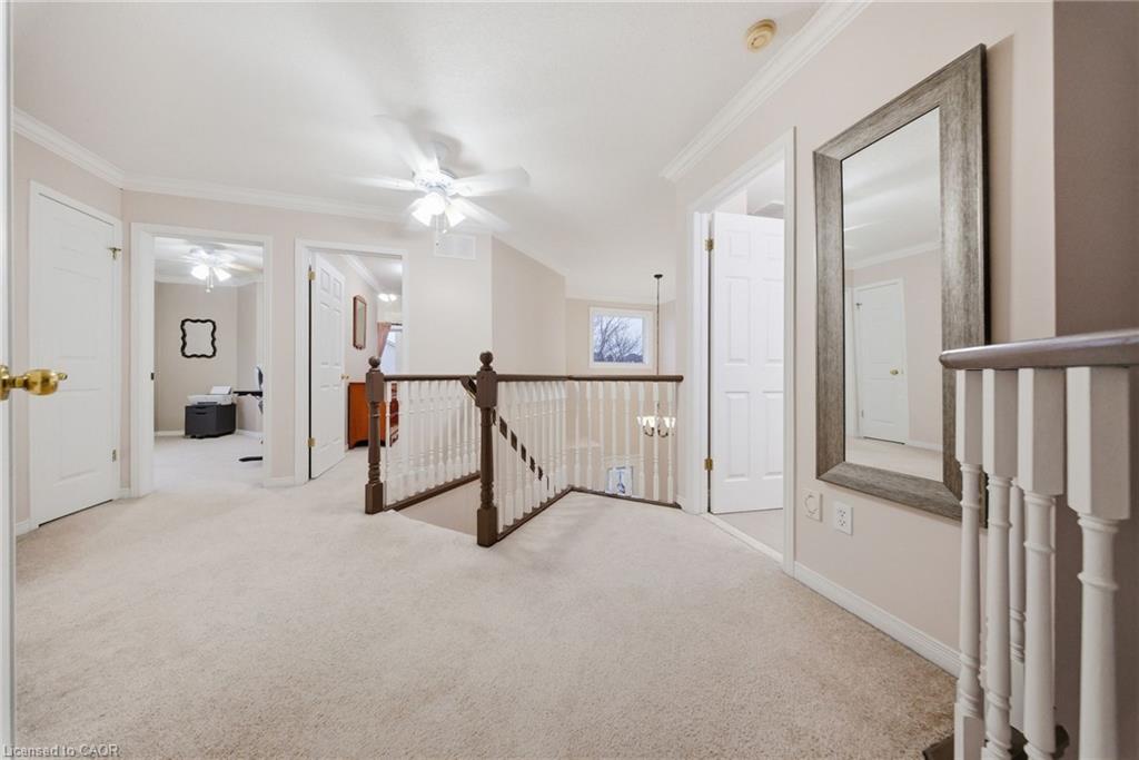 29 Alder Street Property Photo 15