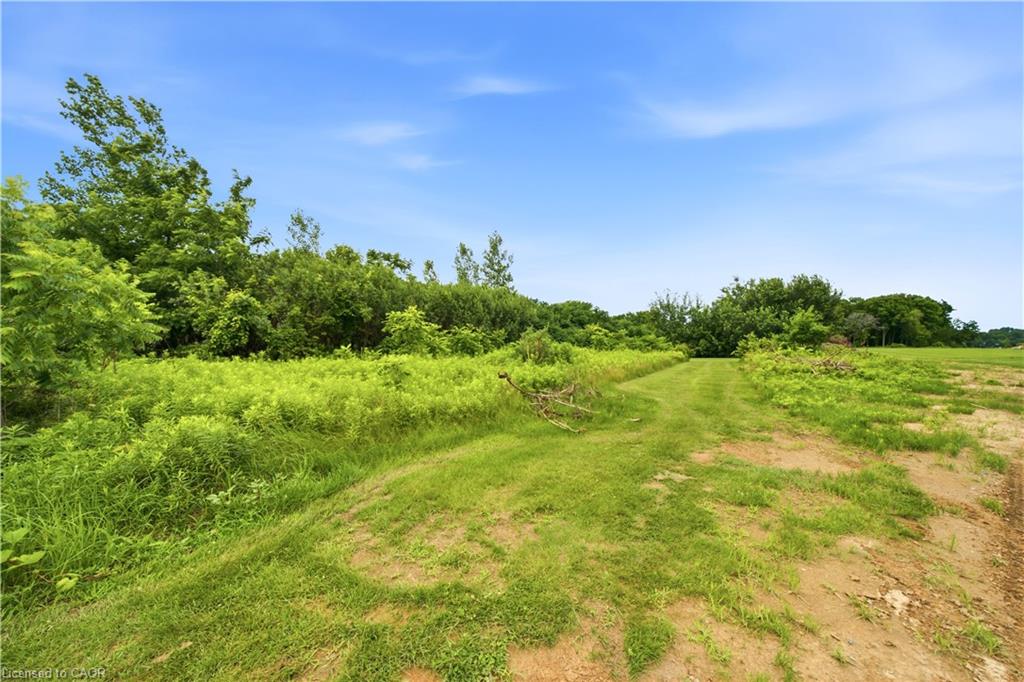 Lot 1 Tallman Drive Property Photo 22
