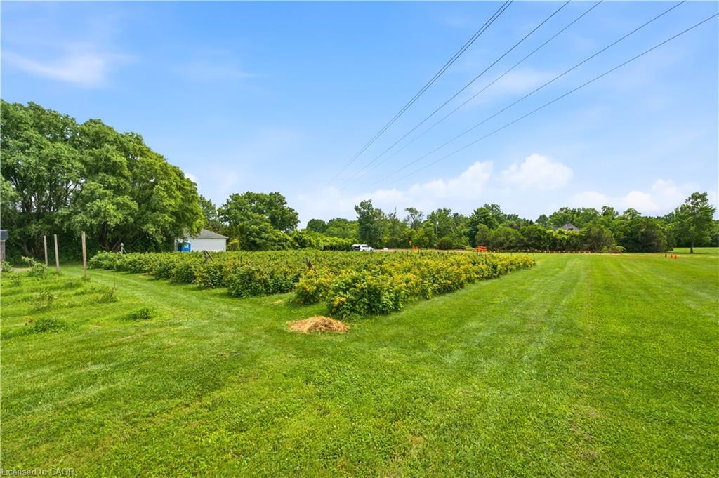 Lot 1 Tallman Drive Property Photo 48