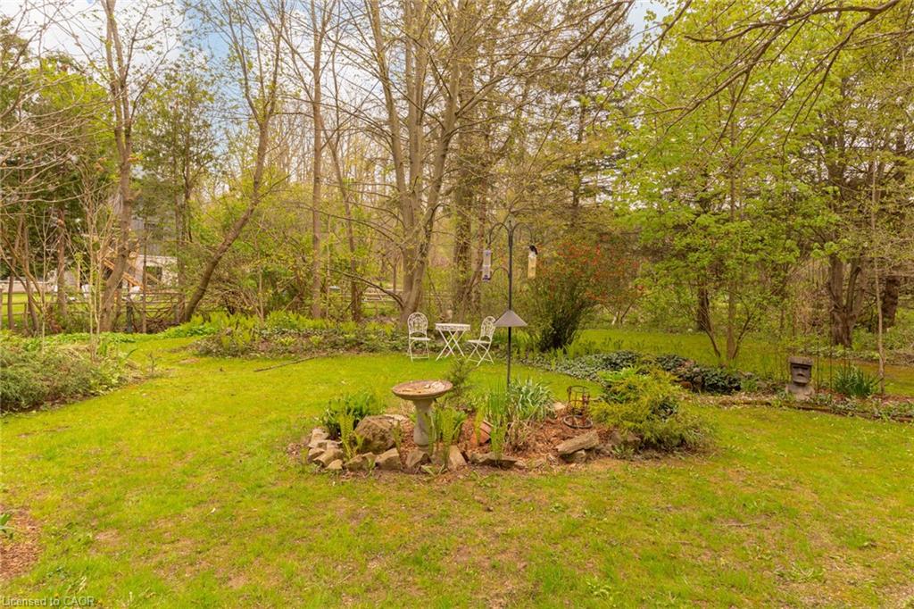 1097 Mineral Springs Road Property Photo 45