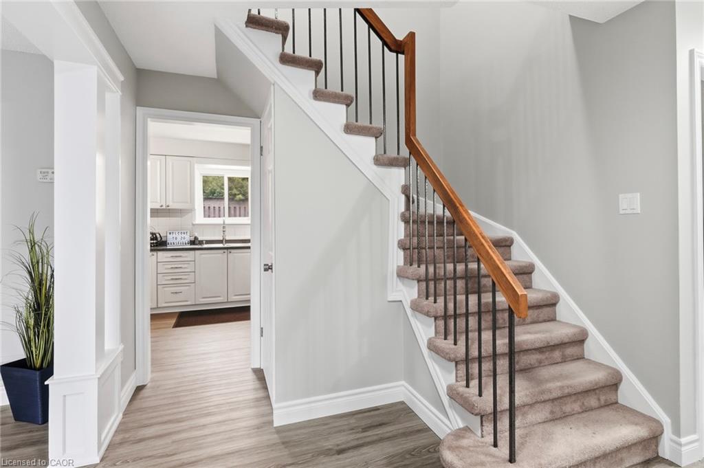 20 Mansfield Street Property Photo 15