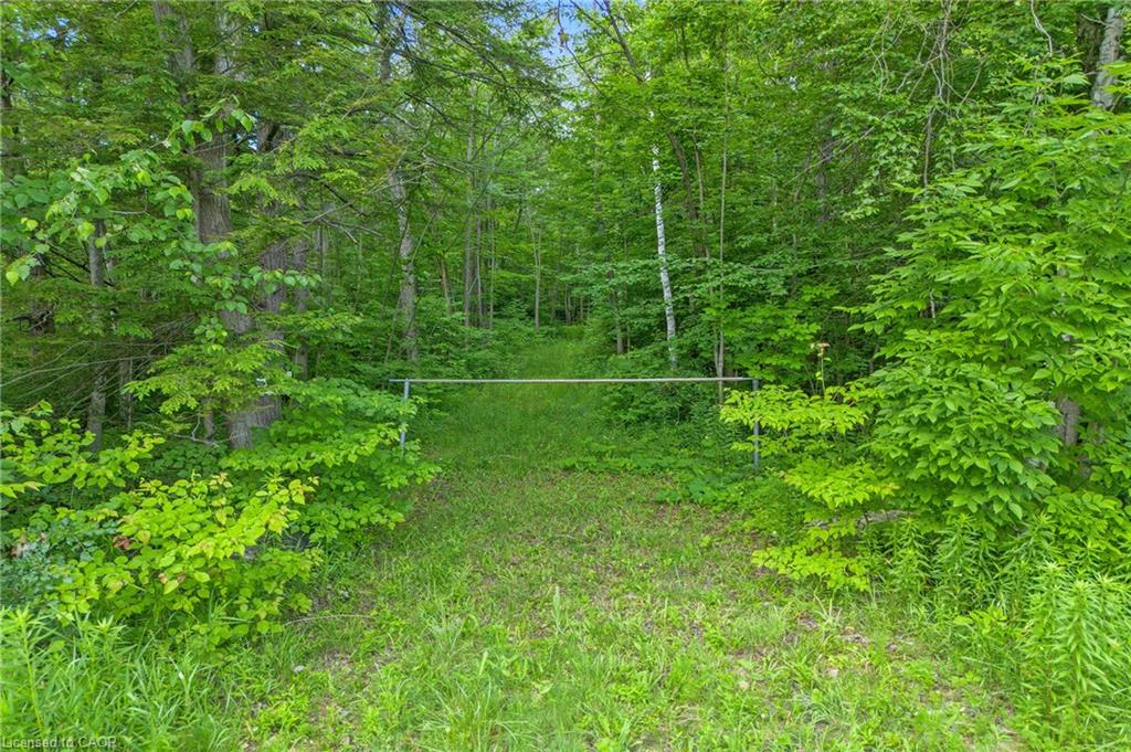 -- Fourth Line Nassagaweya Property Photo 1