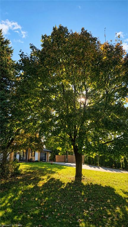 50 Oak Avenue Property Photo 33