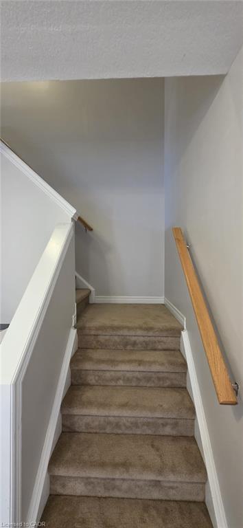 33 Freer Drive Property Photo 11