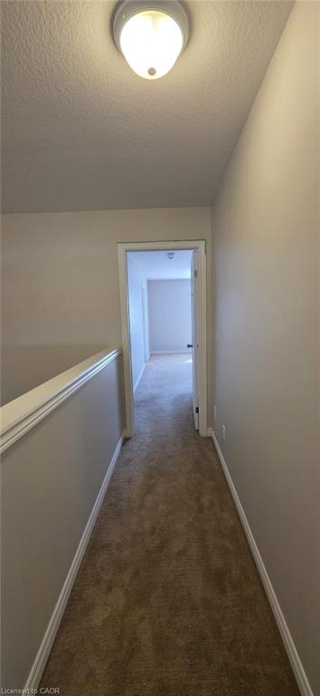 33 Freer Drive Property Photo 12