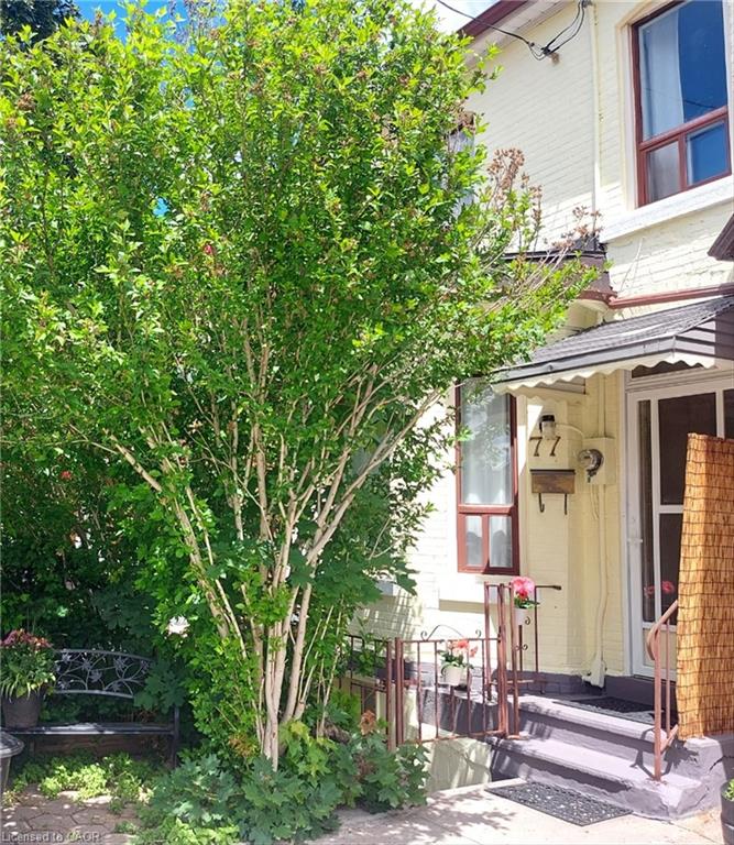 77 Murray Street E Property Photo 2