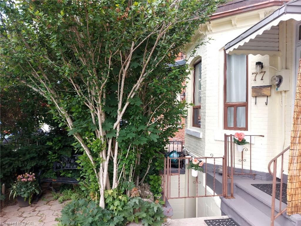77 Murray Street E Property Photo 3