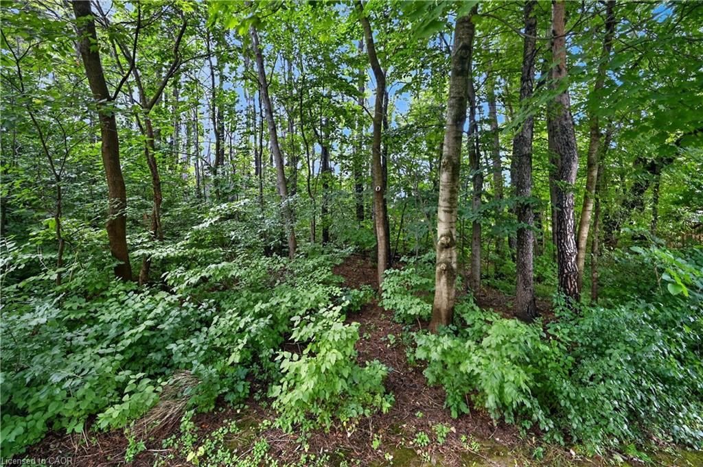 11-151 Mcniven Road Property Photo 45