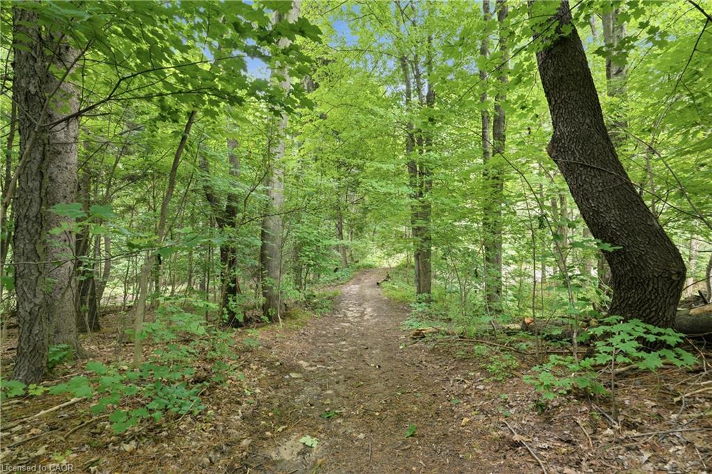 461 Tice Road Property Photo 45