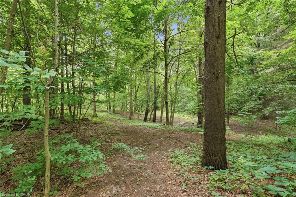 461 Tice Road Property Photo 46