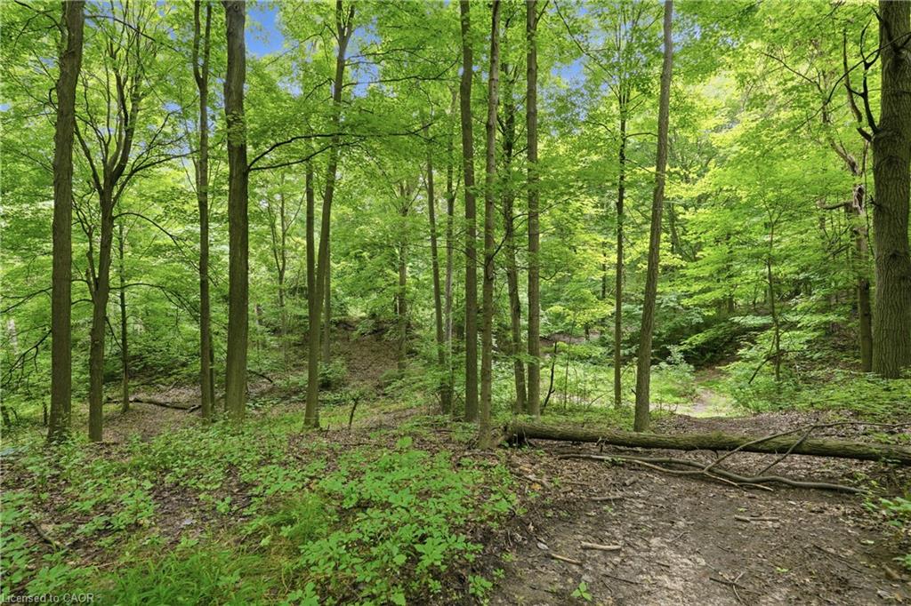 461 Tice Road Property Photo 47