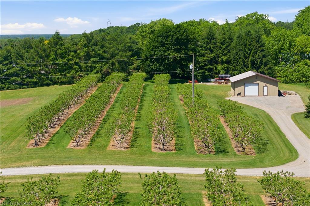 461 Tice Road Property Photo 42