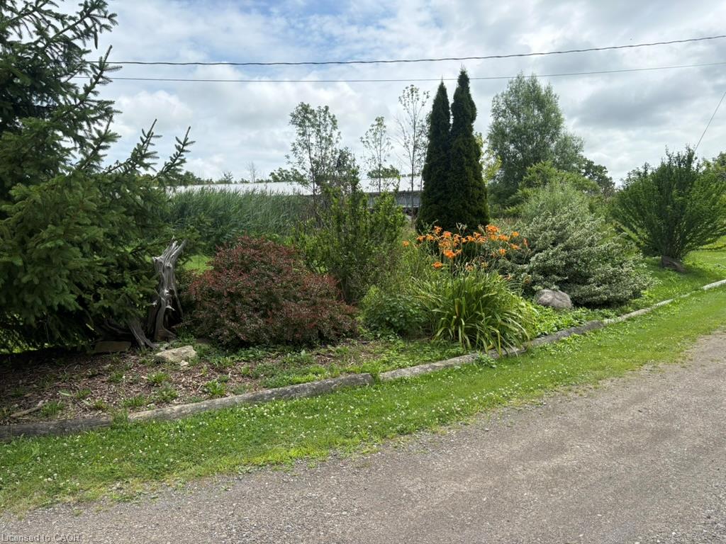 551 Mud Street Property Photo 22