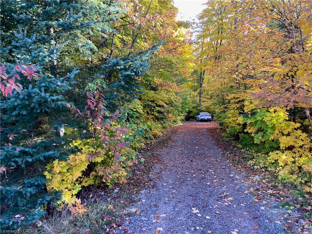 3121a 523 Highway Property Photo 25