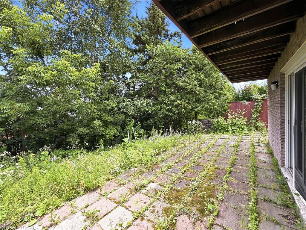 40848082 Property Photo 44