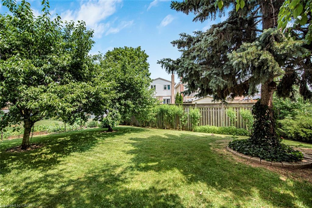 20 Birchlawn Drive Property Photo 48