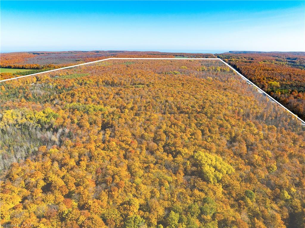 589141 Grey Rd 19 Road Property Photo 4