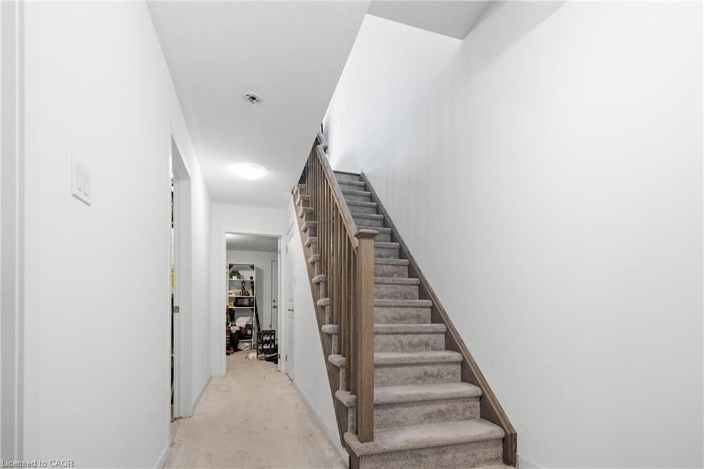 46 Bateson Street Property Photo 24