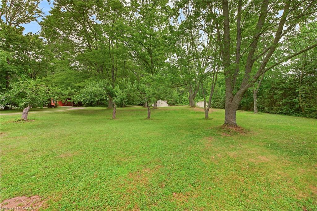 138 Reicheld Road Property Photo 38