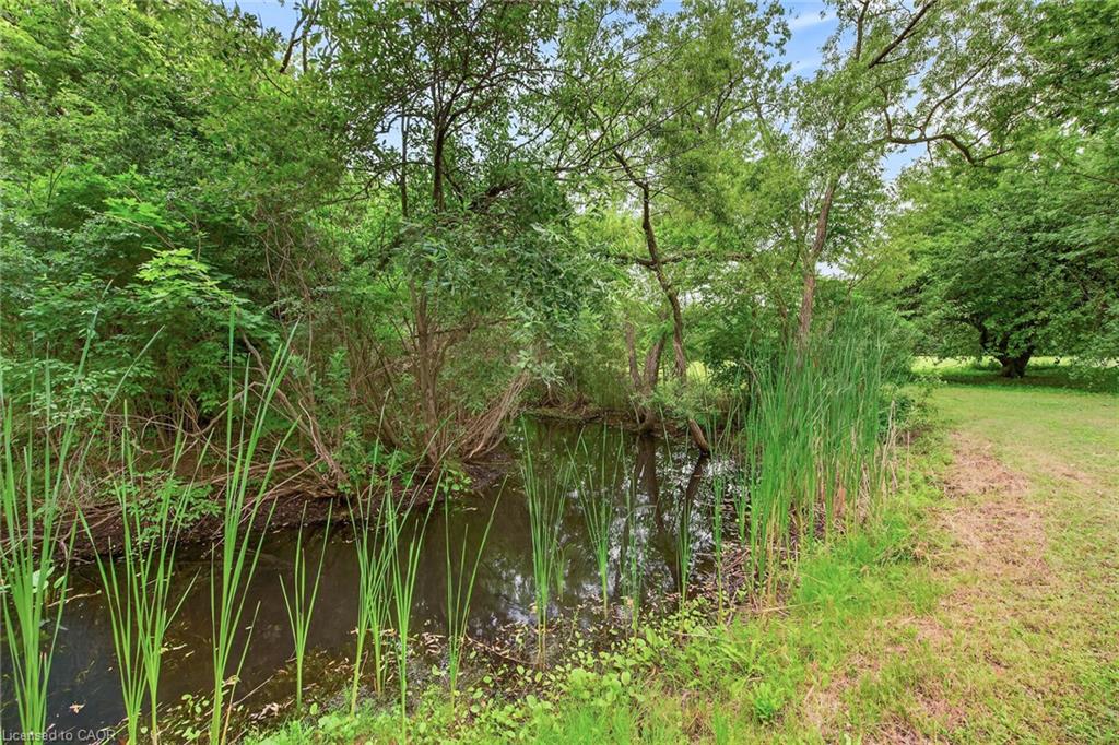 138 Reicheld Road Property Photo 44