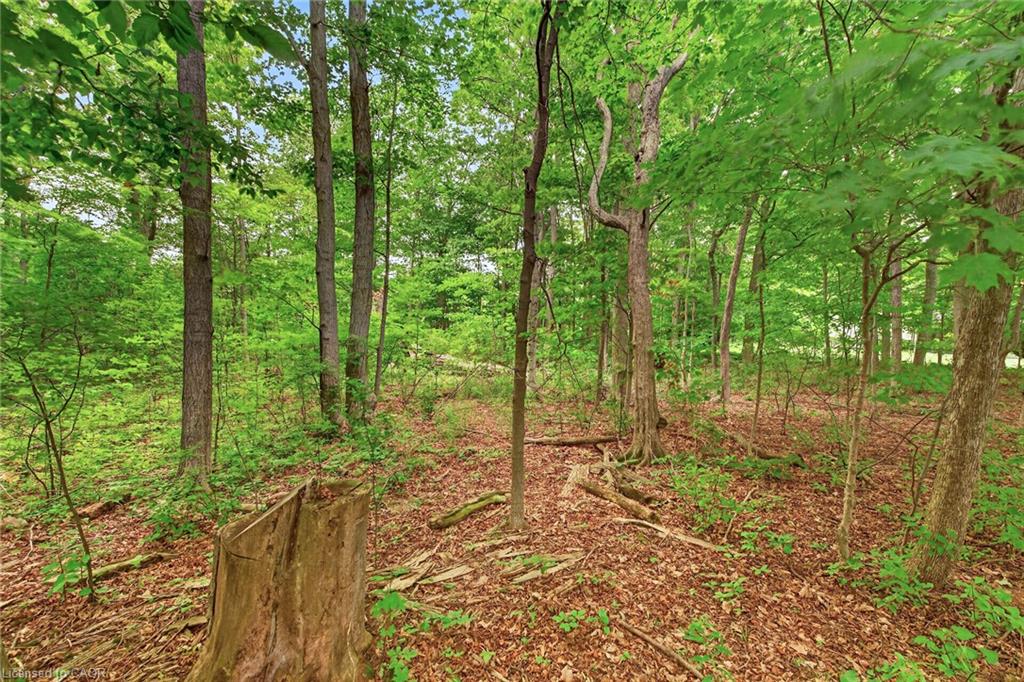 138 Reicheld Road Property Photo 45