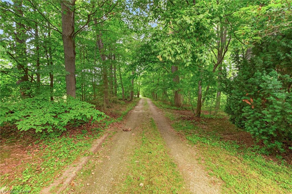 138 Reicheld Road Property Photo 46