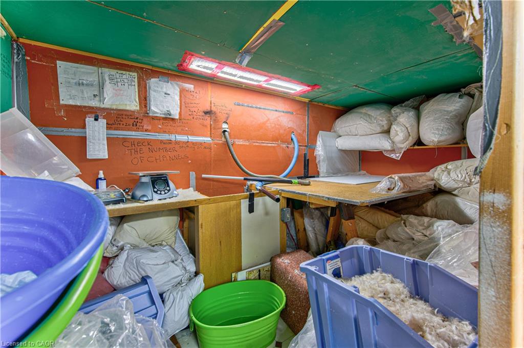 32 Wilson Street Property Photo 15