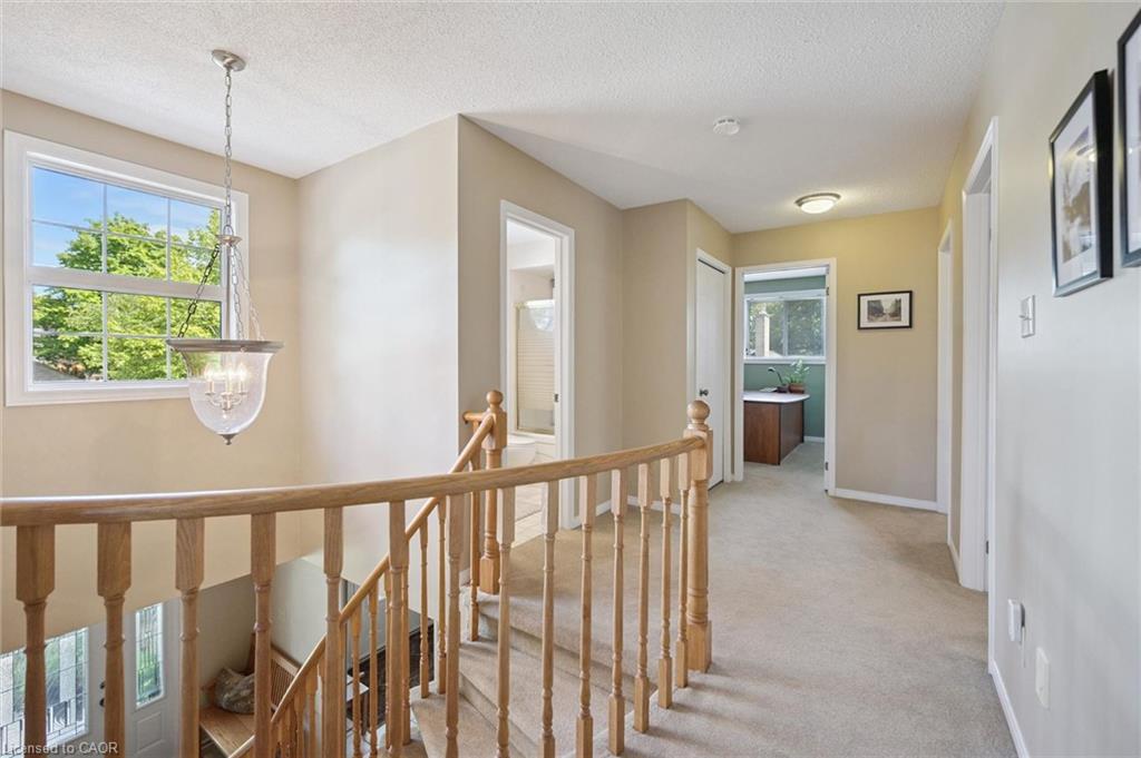 11 Bitzer Court Property Photo 21