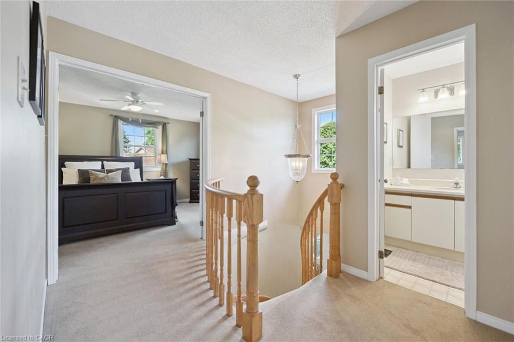 11 Bitzer Court Property Photo 22