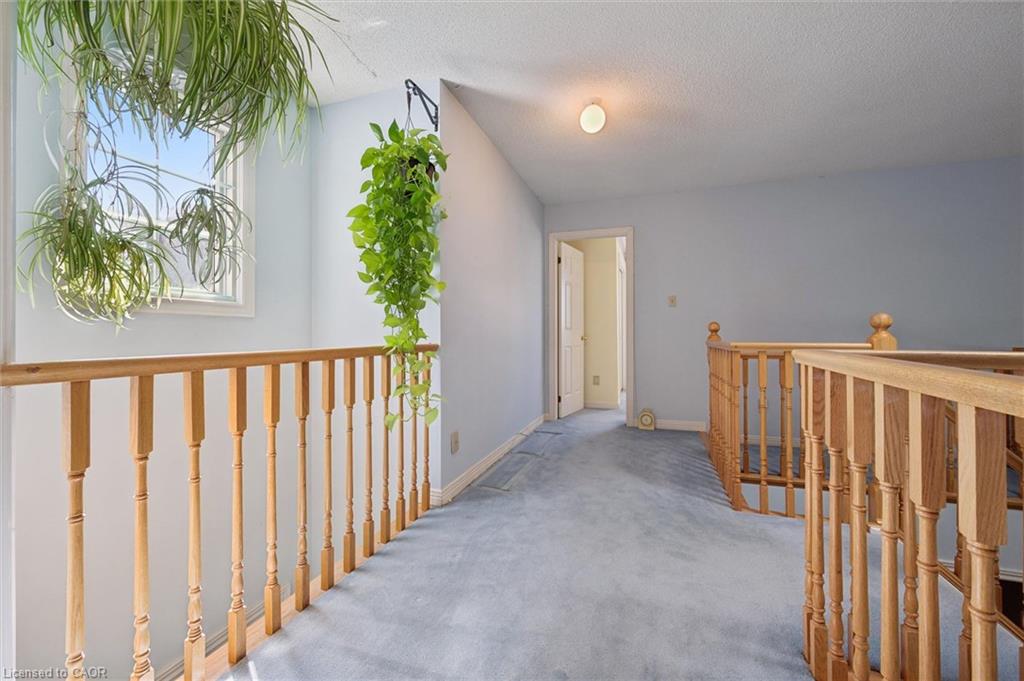 539 Harvey Street Property Photo 25