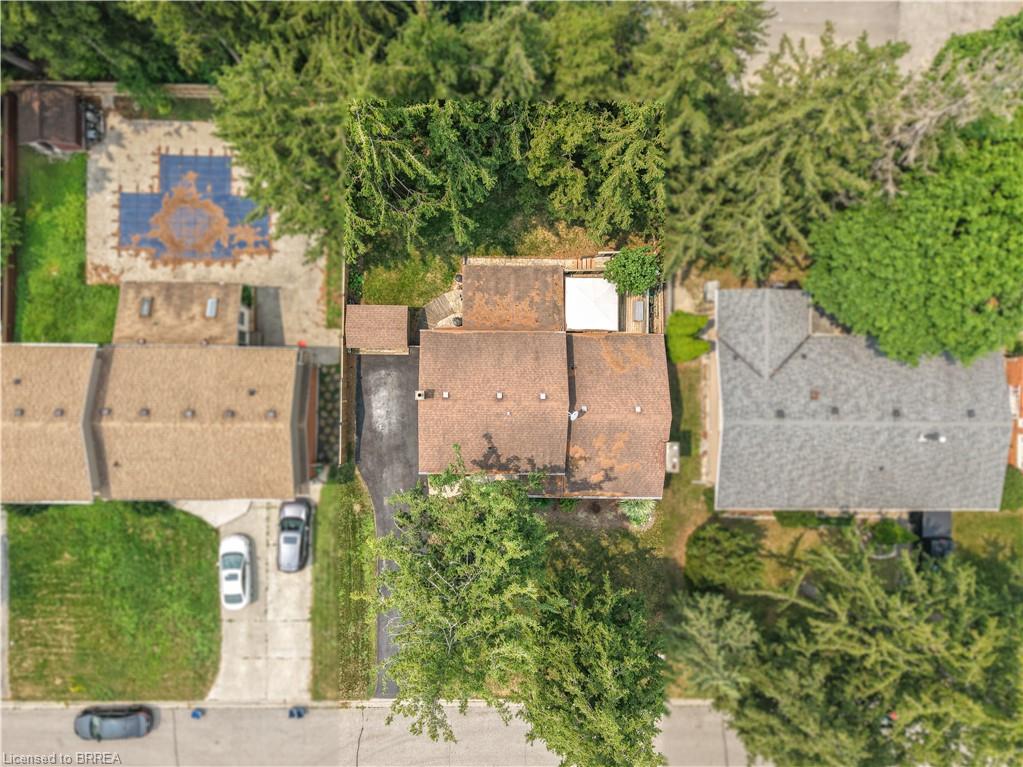 10 Brier Crescent Property Photo 44
