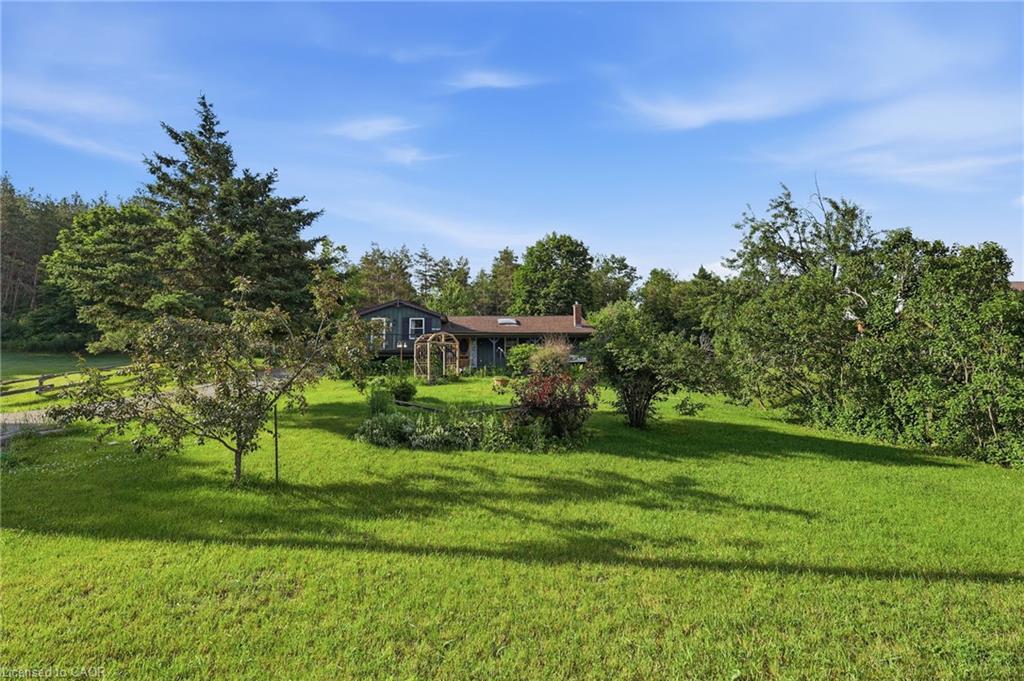 8 Jakeman Street Property Photo 1