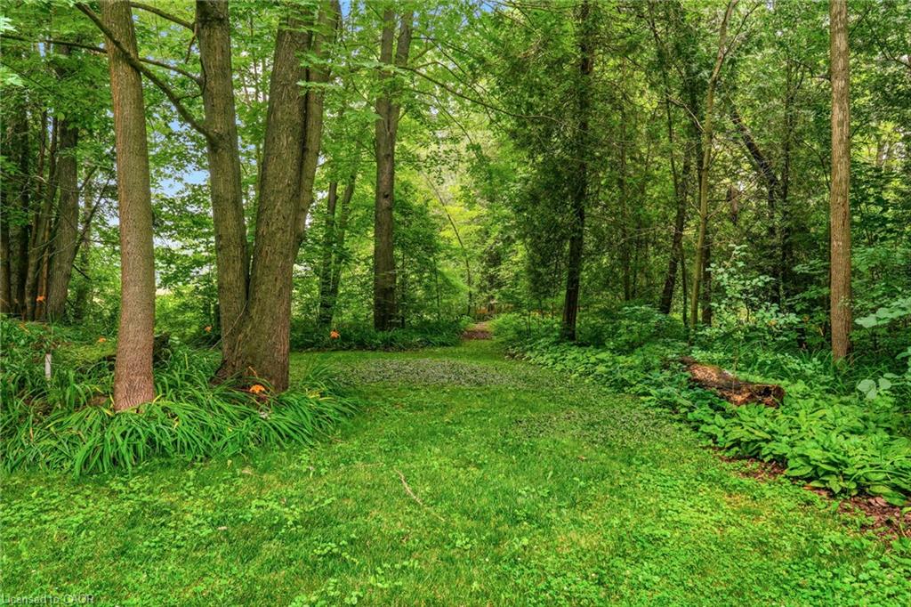 318 10th Concession Road E Property Photo 42