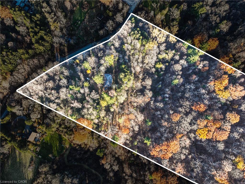 1296 Mineral Springs Road Property Photo 3
