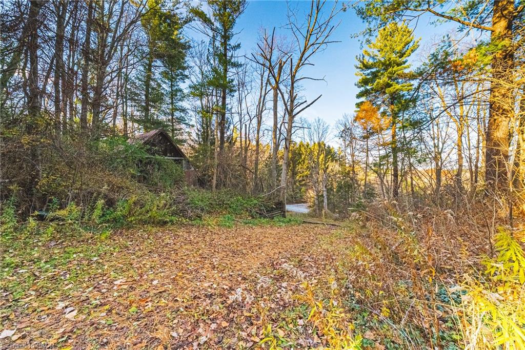 1296 Mineral Springs Road Property Photo 4