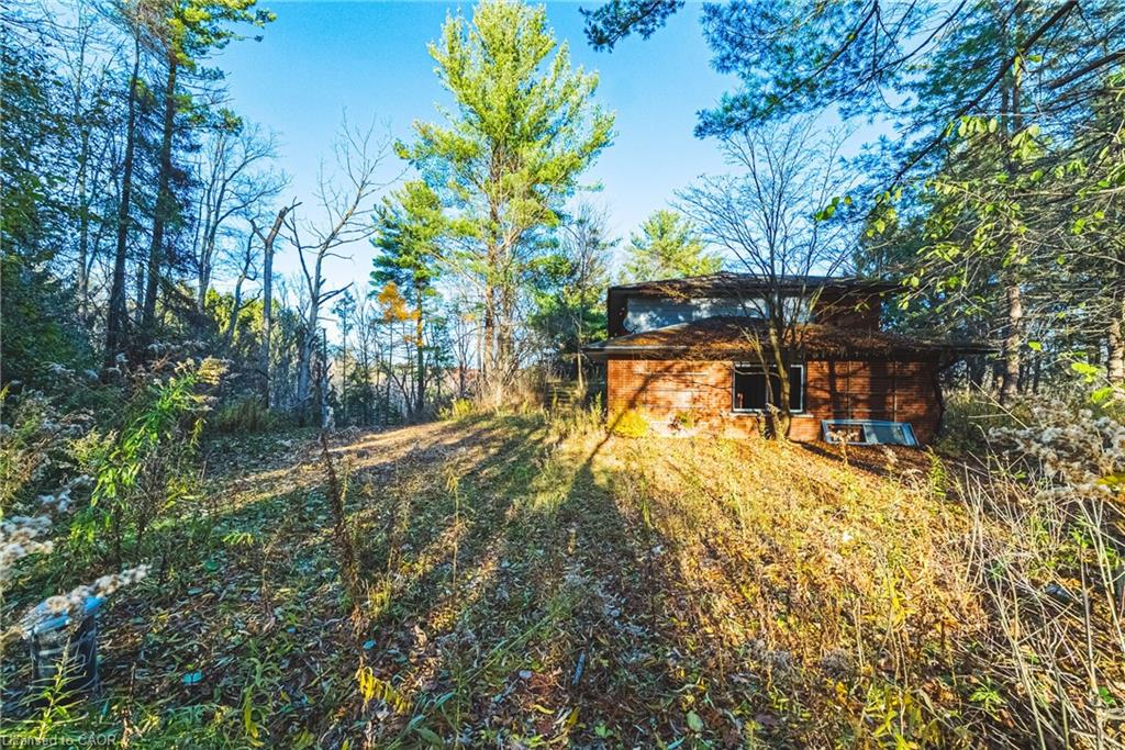 1296 Mineral Springs Road Property Photo 7