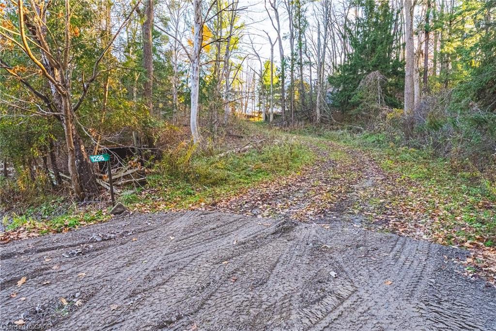 1296 Mineral Springs Road Property Photo 11