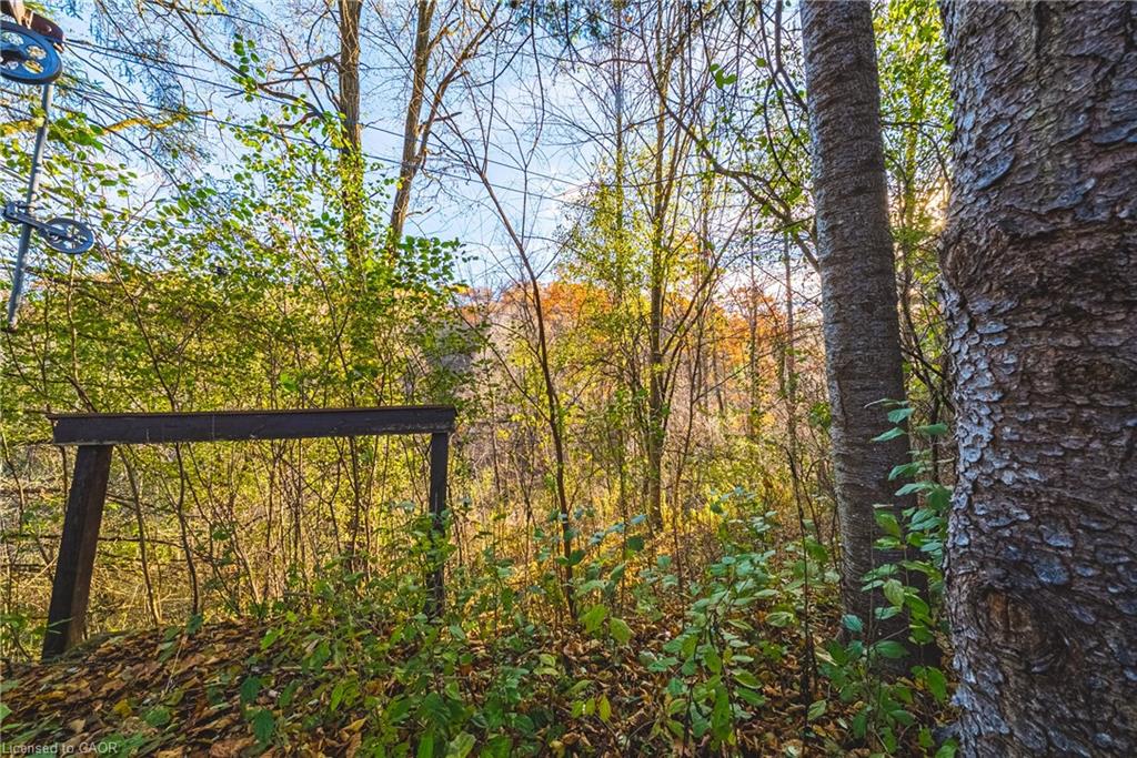1296 Mineral Springs Road Property Photo 13
