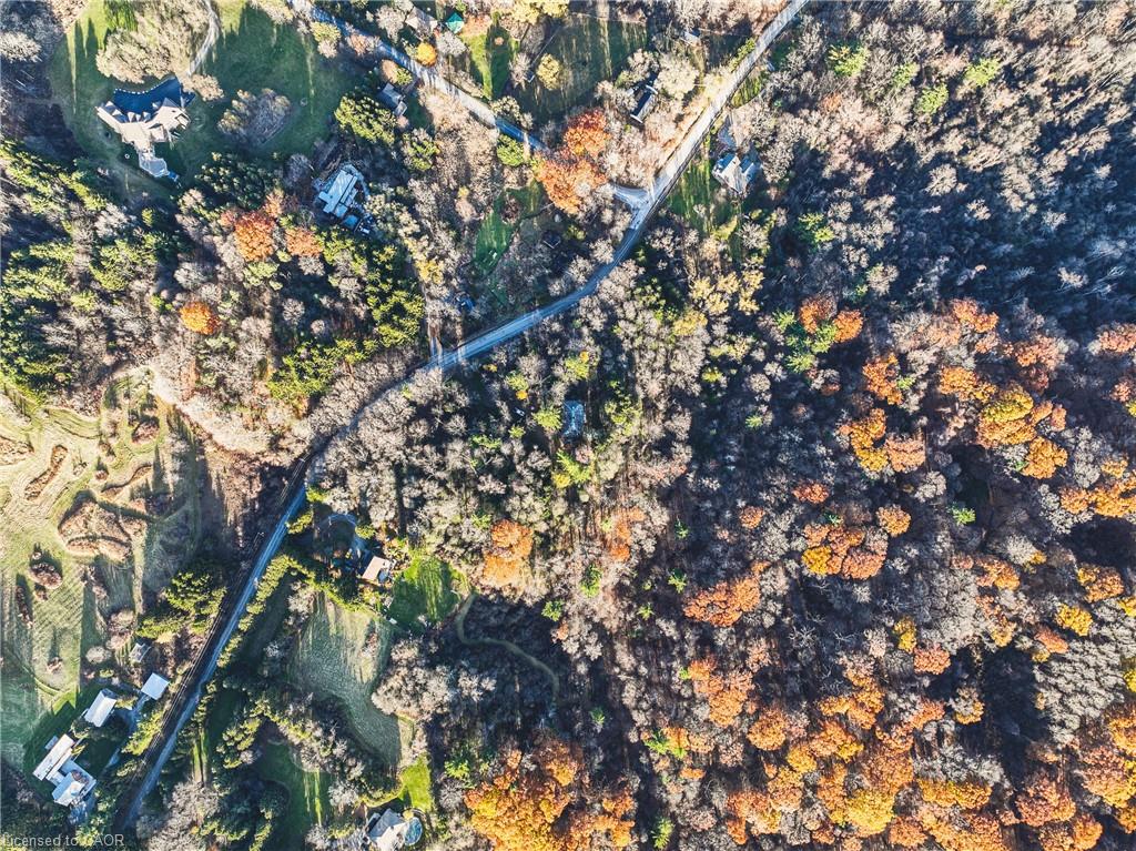 1296 Mineral Springs Road Property Photo 14