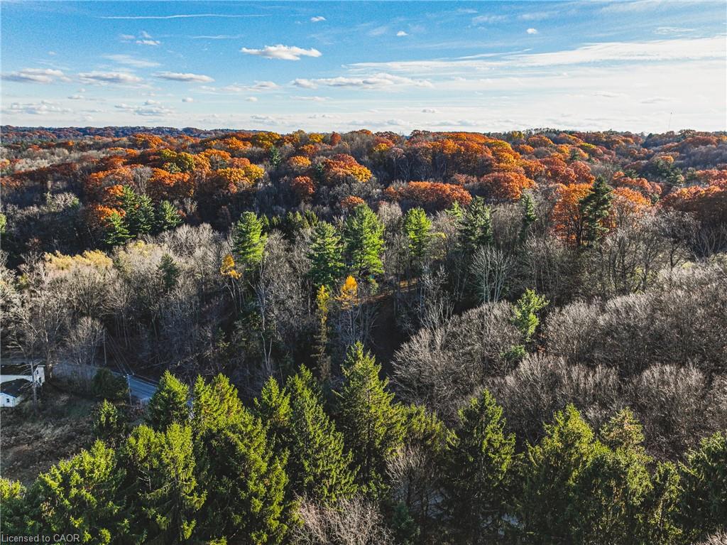 1296 Mineral Springs Road Property Photo 17