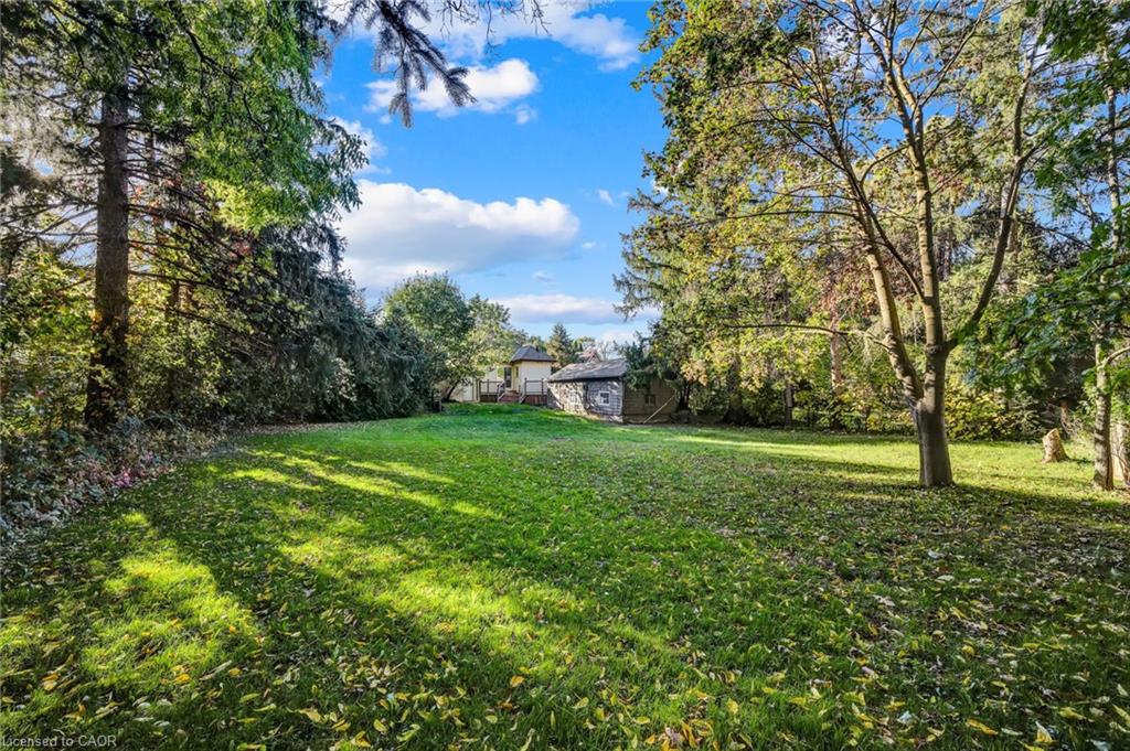 153 Clarence Street Property Photo 40