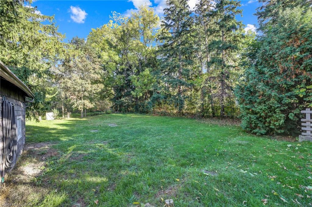 153 Clarence Street Property Photo 41