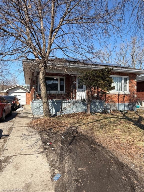 17 Henry Street Property Photo 1