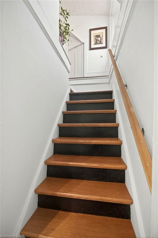 49 Cheever Street Property Photo 27