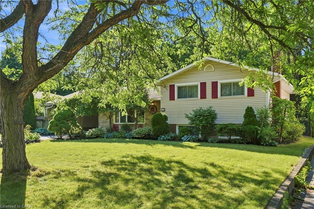 31 Valerie Drive