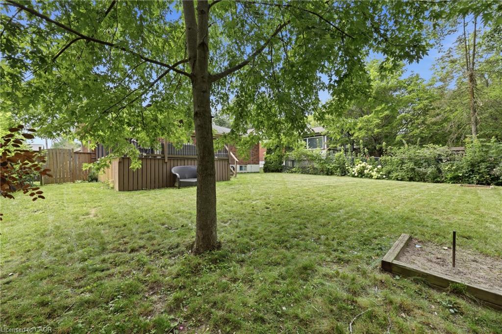 30 Laird Street Property Photo 35