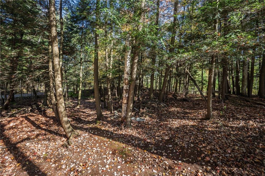 1012 Armstrong Road Property Photo 32