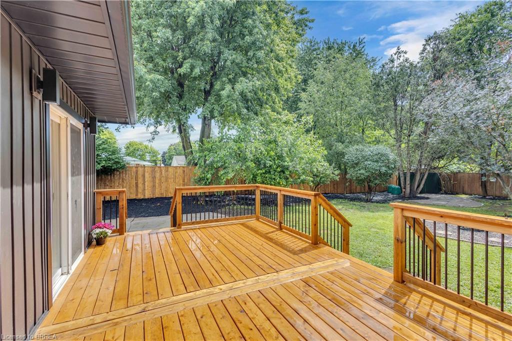 44 Tyrell Street Property Photo 35